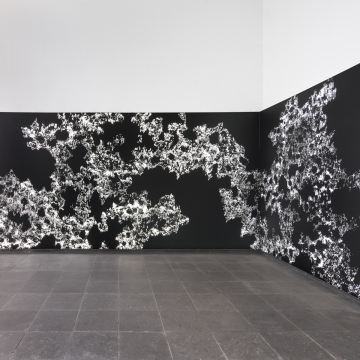 02_Connections_Stoffbanner, bedruckt, LED Leuchtmittel_5150x250 cm_Palmengarten Frankfurt_2024.jpg