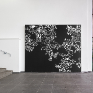 03_Connections_Stoffbanner, bedruckt, LED Leuchtmittel_250x250 cm_Palmengarten Frankfurt_2024.jpg