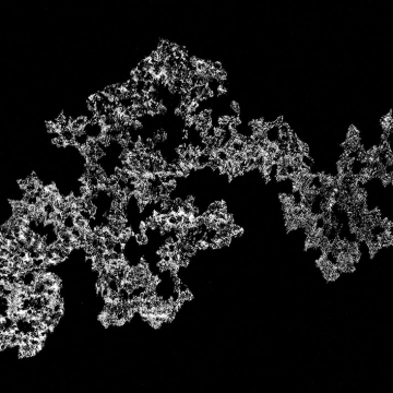 09_Untitled_ink behind glass_backlit_60 x 120 cm_2021.jpg